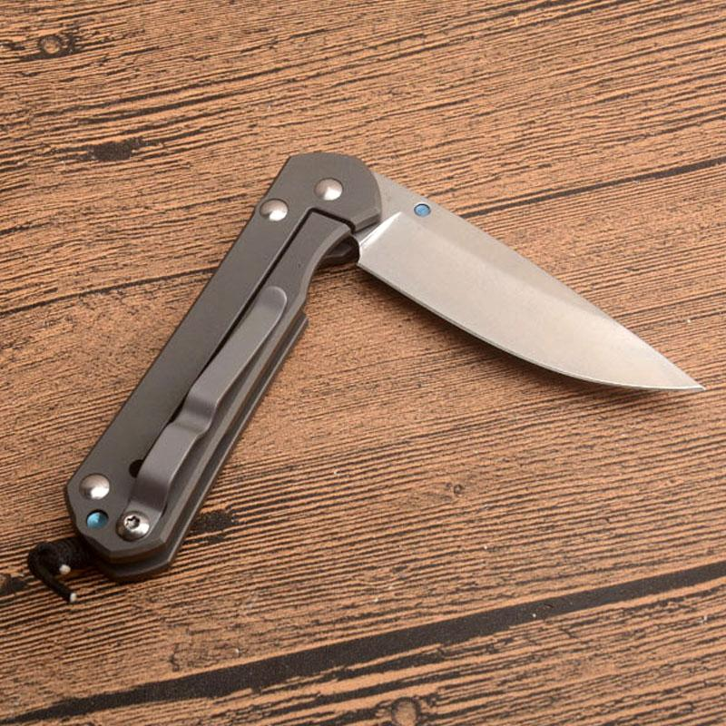 Chris Reeve Sebenza 21 Knife For Hunt - Micknives